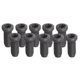 SET TORNILLOS 5 PZ  T8/ M 2