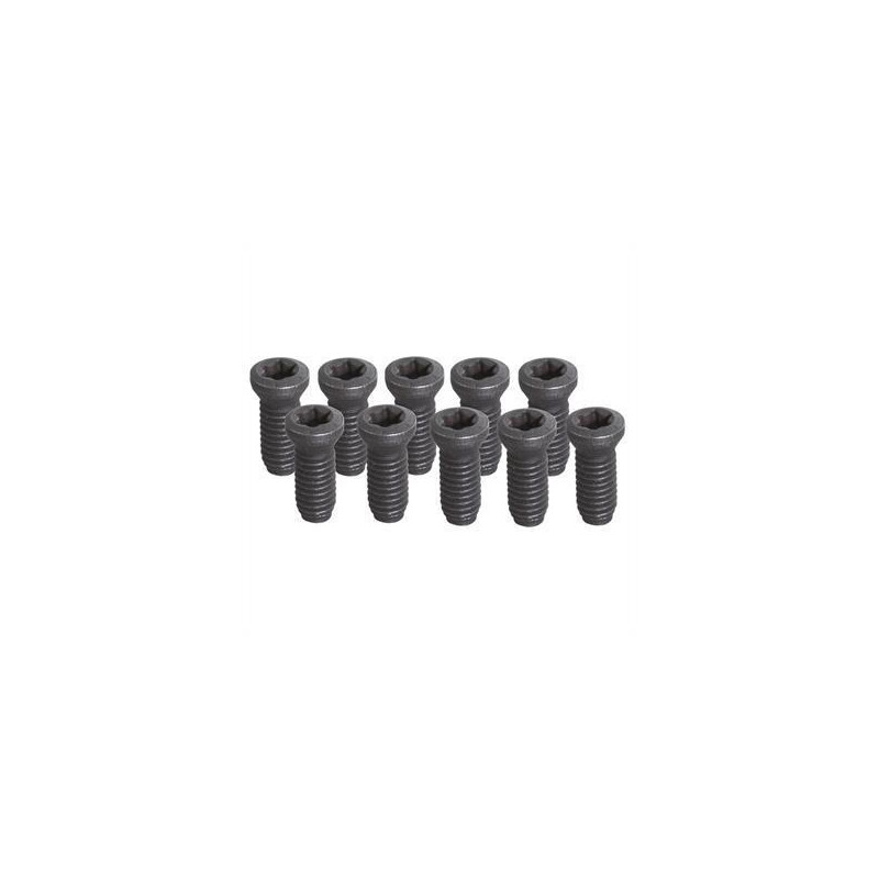 SET TORNILLOS M 3 de TX 15, 10 PZ