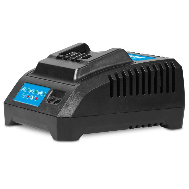 Cargador para Bateria de 2 A